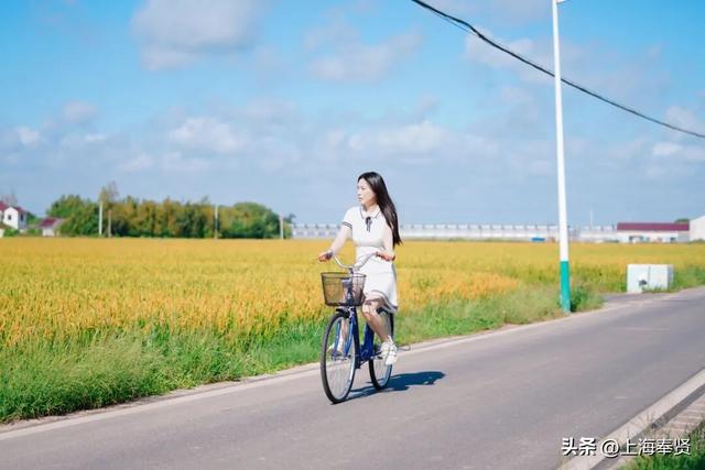 “乡”遇奉贤·奉城篇丨假期没玩够？来奉城这里解锁“续假”式快乐！