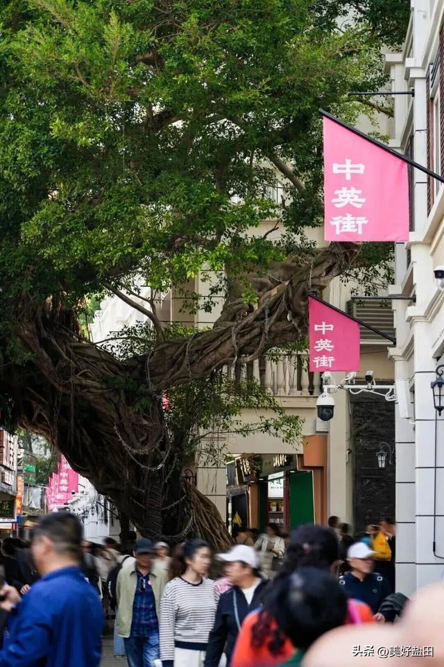 不好意思，今年春节盐田又火了！