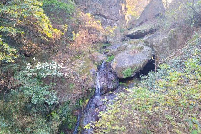 浙江绍兴雪窦岭的水上杉林，被誉为“江南小九寨”，现实却是这样