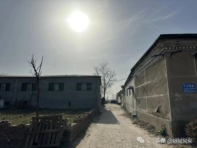 冠县乡韵·辛集镇饮马庄