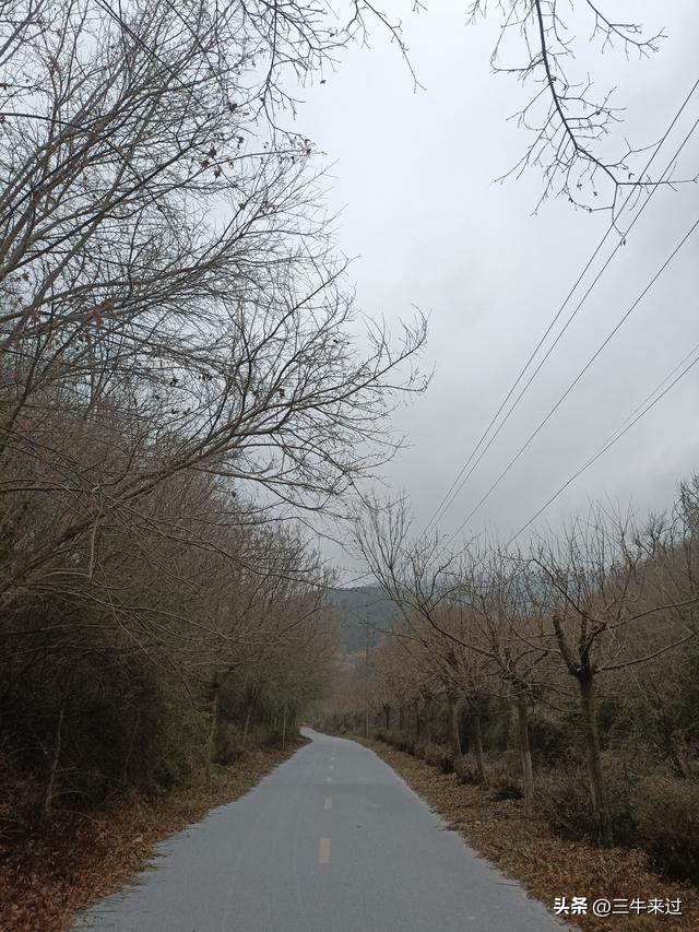 无为在歧路，何处寻雾凇