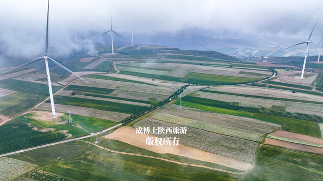 陕西8月份最大的荞麦花海，感觉不是很火，什么原因呢？