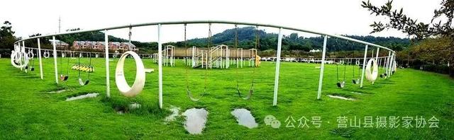 李永辉：寻芳“花舞人间”