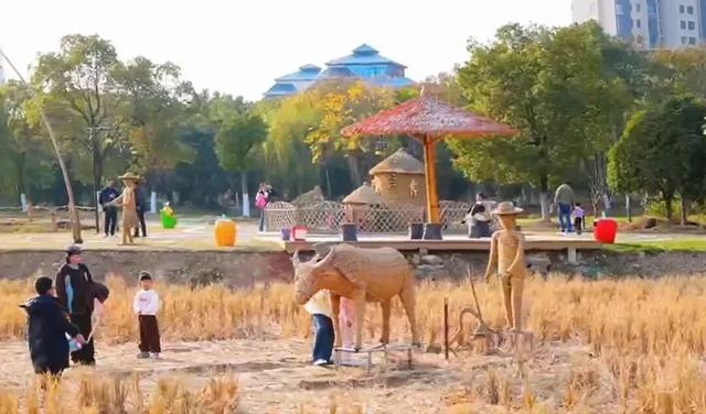 拒绝“冬懒”！鹰潭初冬运动指南：登山、骑行，在风景中唤醒活力【全球学子嘉游赣 奇绝鹰潭逍遥游】