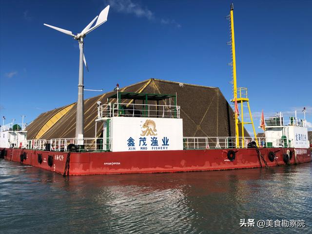 恰逢福建连江开渔，开启黄岐半岛一日特种兵之旅