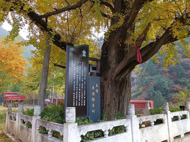 辋川诗未眠