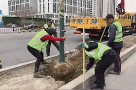 玉泉区：抢抓“春时”补植新绿图片
