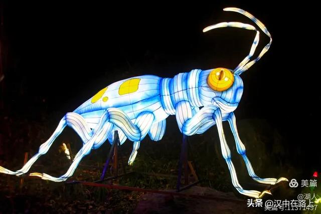当光影遇上森林,汉中的夏夜如此动人清凉!