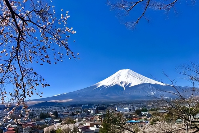 中国游客“用脚投票”，暂缓旅日的连锁反应，到底有多猛烈？