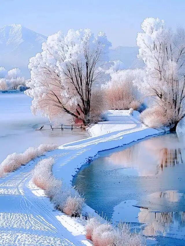 冬日里的仙境，银装素裹，醉人的美！
