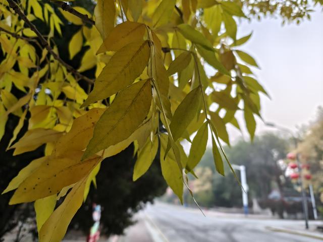 人生处处皆美好