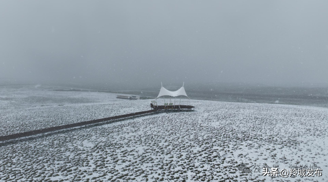 美仁初雪，八月飞白！邂逅羚城最意外的浪漫