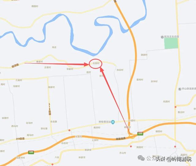 西安出发1.5小时,渭南北拾村上千只白天鹅在等你,内附详细攻略