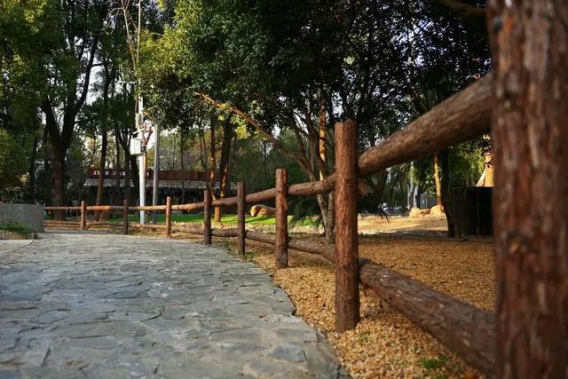 硚口区“就地取材”激活小微空间 育苗基地变身“森系”游园 市中心就能畅快体验:森林溯溪 + 露营 + RC越野