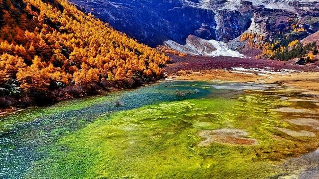 直接封神！你永远可以相信稻城亚丁的秋天