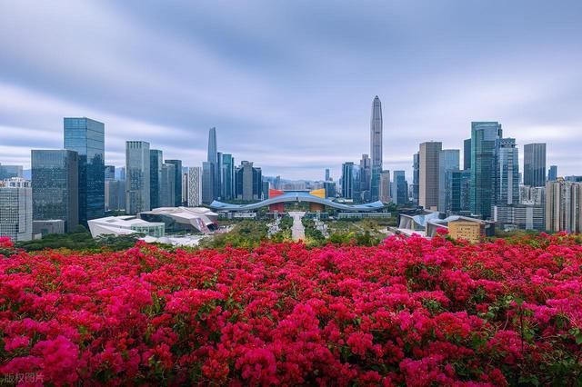 深圳最值得去的6个公园推荐！全部免费，地铁直达，好玩又好拍！