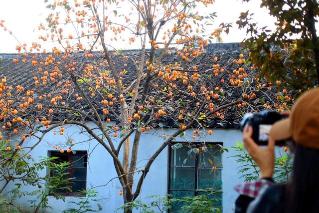 西安人考察和兰州，直言不讳：兰州人和苏州人气质截然不同