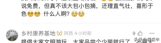 陕西彬州柿子火出圈，啥啥都免费，结果网友们不乐意了