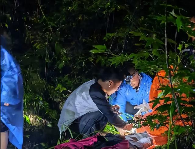 罕见！3只野生黑熊“全家出游”，太白山景区：切勿投喂或挑逗