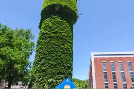 快来打卡！这里的科技周太会“玩”了图片