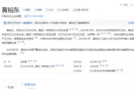 黄裕东，他这个国企老总刚过了试用期半年就落网了图片