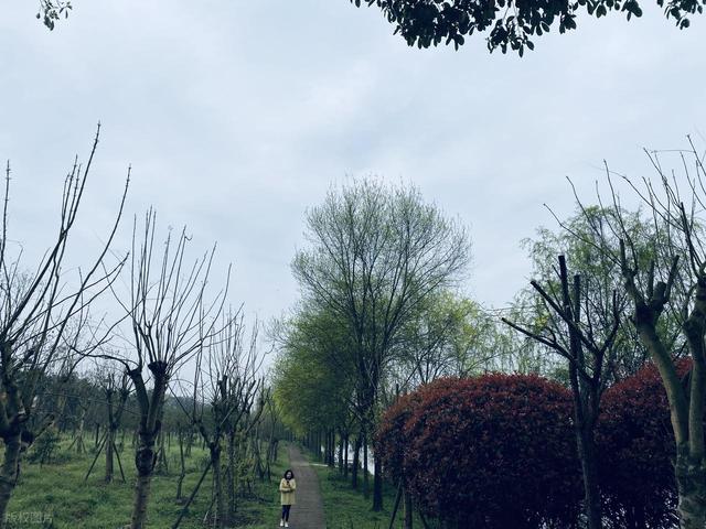 清明踏青最宜的 6 个古寨，适合全家人寻春访古，都清新自在！