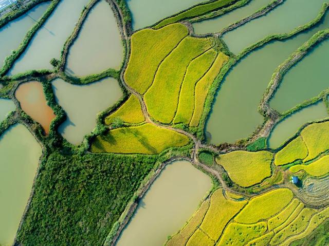 收藏！摄影师私藏的山河秋色，藏着最浓的诗意 | 皖美秋日