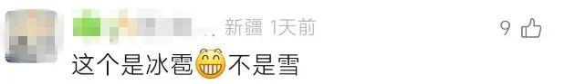 伊昭公路“八月飞雪”全网刷屏！当地相关部门回应→