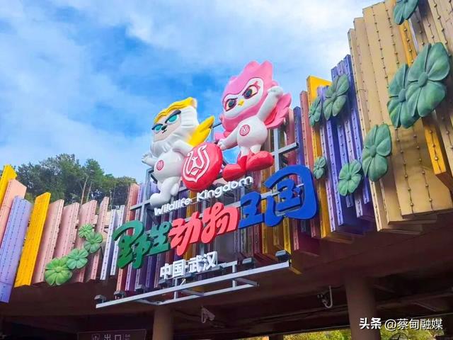 全省热门景区前三，连续单日GMV破百万！武汉野生动物王国热度飙升