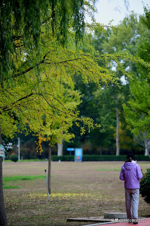 达活泉，这才是秋天该有的样子（图）
