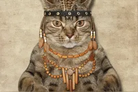 为什么养猫改命图片