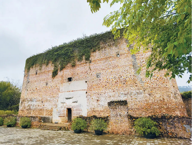 收好始兴这条线路，一天玩转艺术、古村与落羽杉，追一场岭南最绚烂的秋！