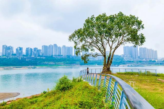 地名里的重庆 | 大渡口建胜镇，一个以“胜”为名的镇