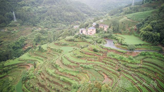 皖浙摩旅二人转——松阳杨家堂篇（下）
