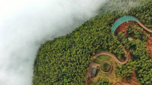 冬日竹海，限时特惠！淡季门票+超值年卡，承包一整年的美景
