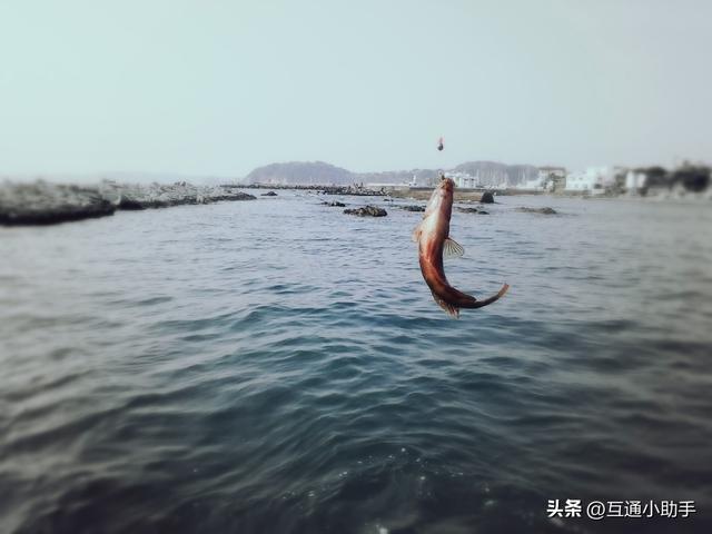 富士 instax WIDE Evo 评测