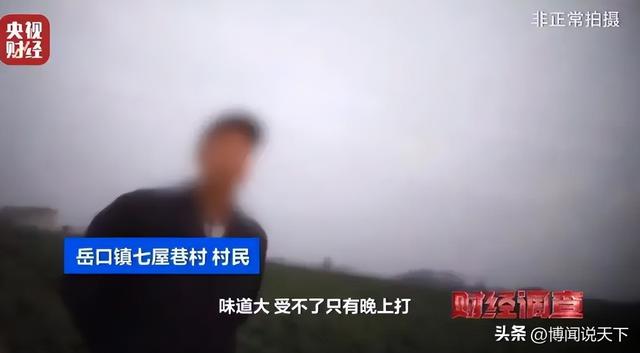 央视曝光毒红薯！商户主动投毒	，流窜至全国多地，背后利益链曝光