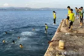 海南小学生集体跳海游泳的视频，引发全国网友和海外华人热议图片