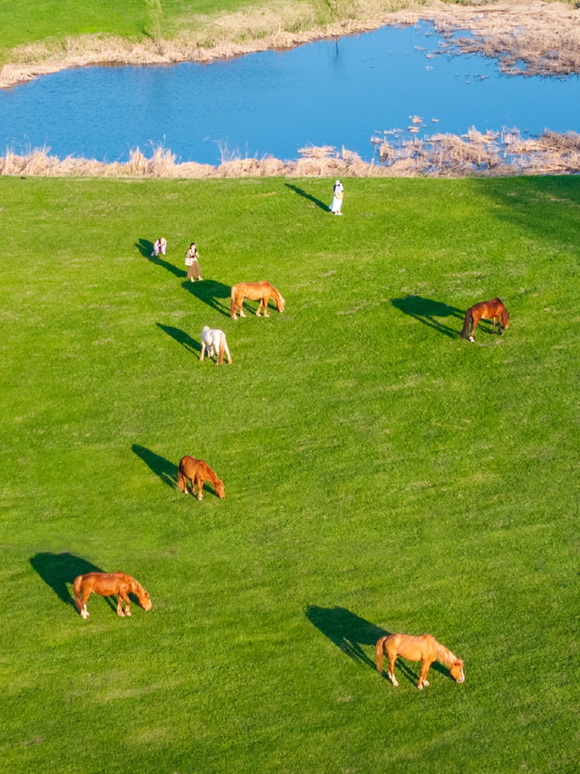湖北消费券来了！最低 50 元畅玩黄陂三大顶流景区！