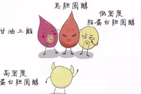 体检报告：血脂报告中5个指标正常，那你的身体还不错图片