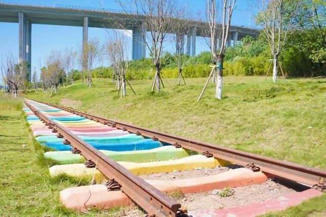 重庆公园+1+1+1……快到这些地方晒太阳→