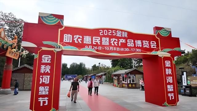 南开区的公园内，好玩儿的真不少！