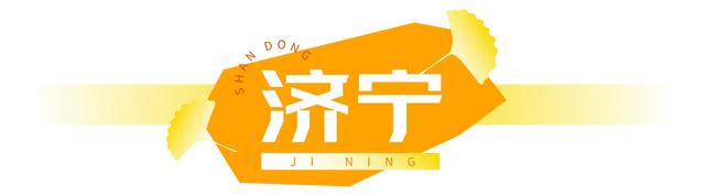 山东:时至初冬,银杏正当时