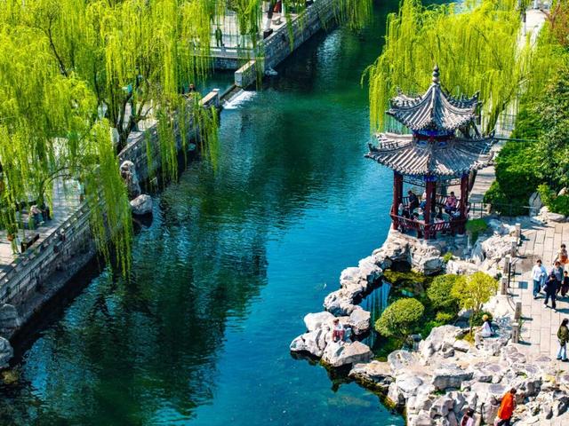 被济南泉水下的世界惊艳到了！