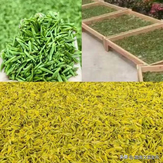 舌尖上的“文县”余味悠长