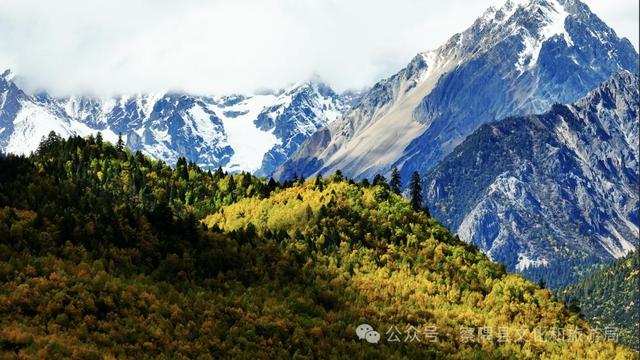 「辉煌60年·新时代西藏答卷」绝美！西藏小江南的秋色天花板，美到窒息！