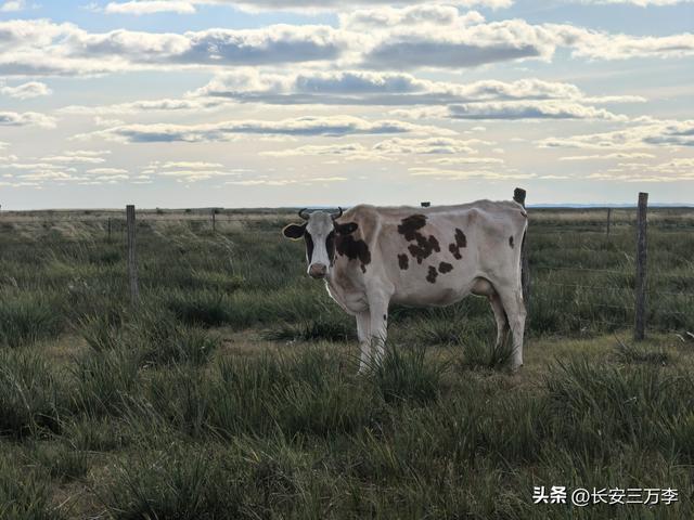 北上大草原第8站：贡格尔草原生活体验一天
