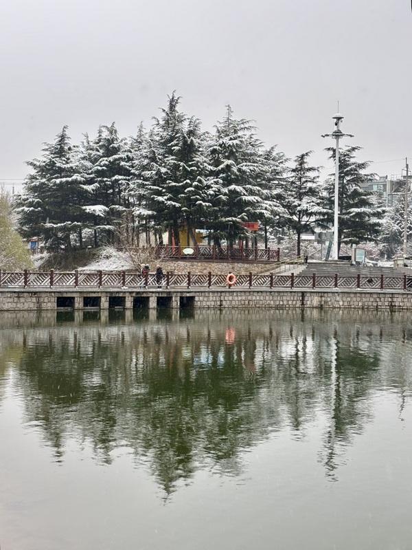 瑞雪飘然而至中国海滨城市青岛