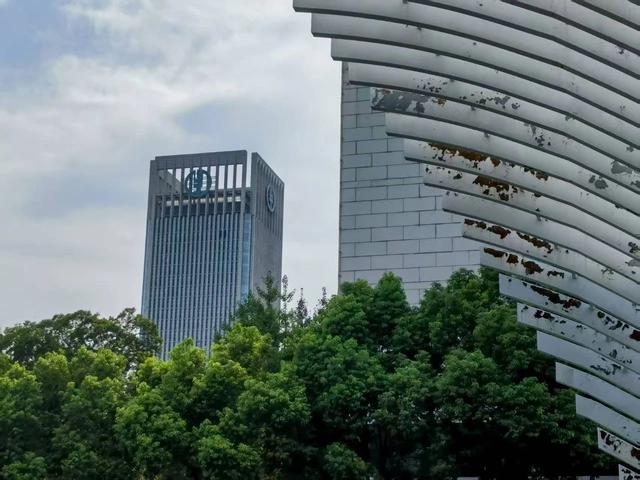 感知合肥
