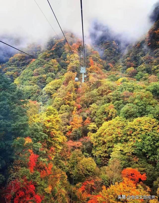 穿越米仓红枫，探秘巴山大峡谷：秦巴山脉里的秋日秘境与千年巴韵